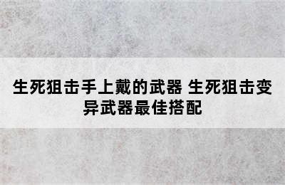 生死狙击手上戴的武器 生死狙击变异武器最佳搭配